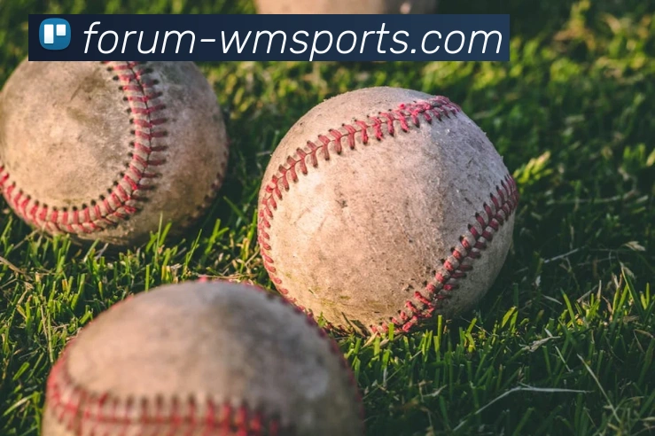 完美体育官网APP 体育赛事宣传图